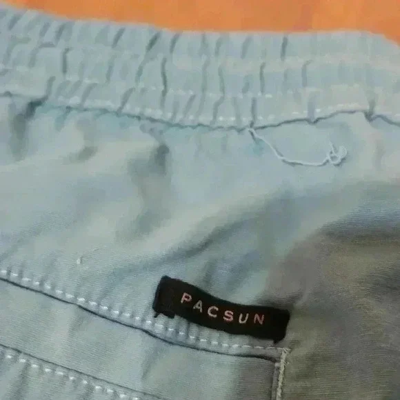 PacSun Small volley mens short NWOT - Picture 5 of 8